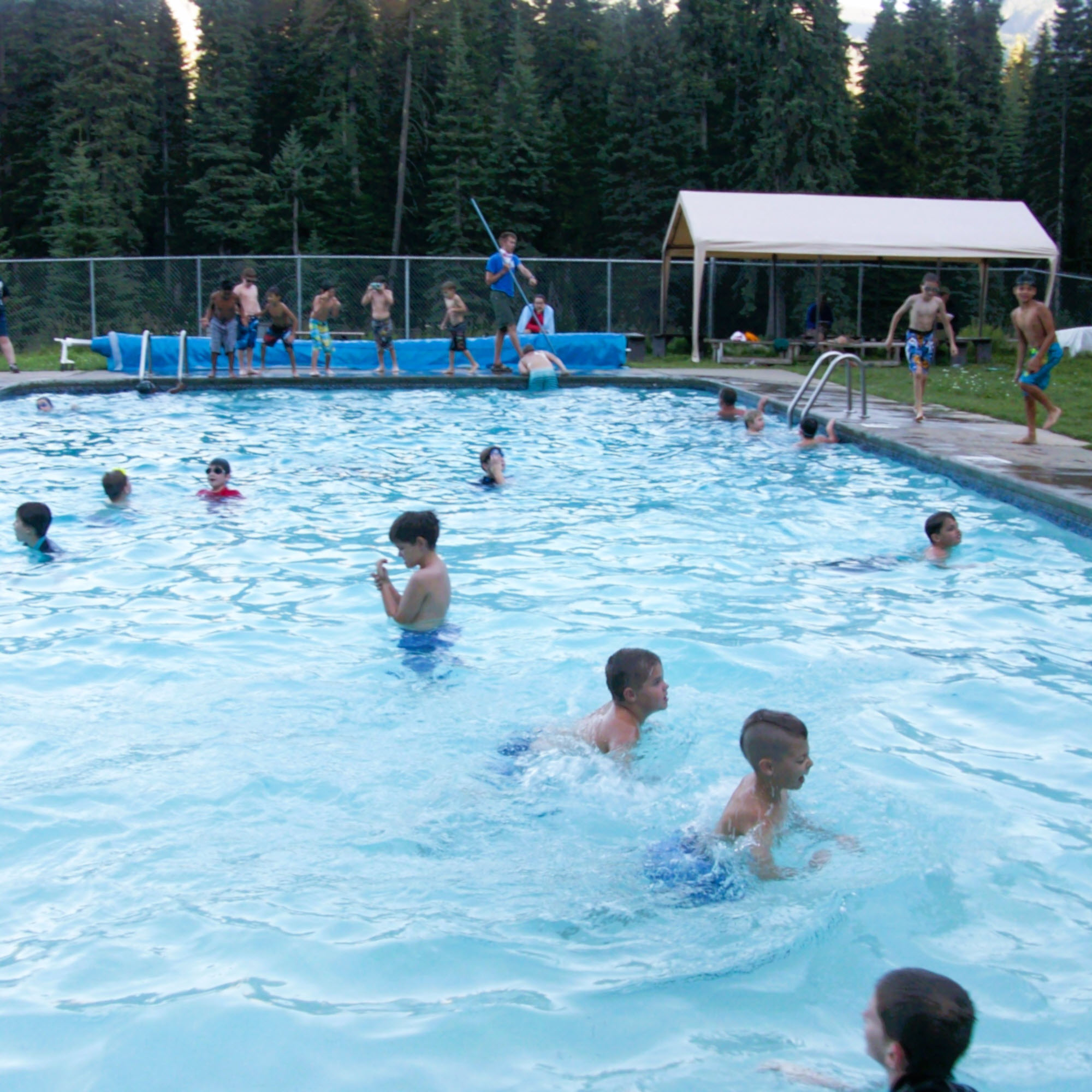 Pool Web Wq